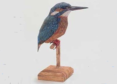 Eisvogel