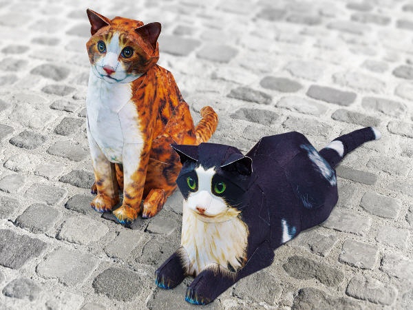 2 Katzen